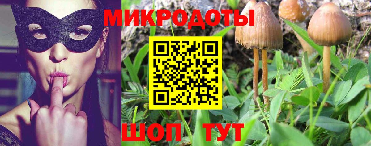 Галлюциногенные грибы Cubensis  Псилоцибиновые грибы Magic Shrooms  Семилуки  Вход с VPN 