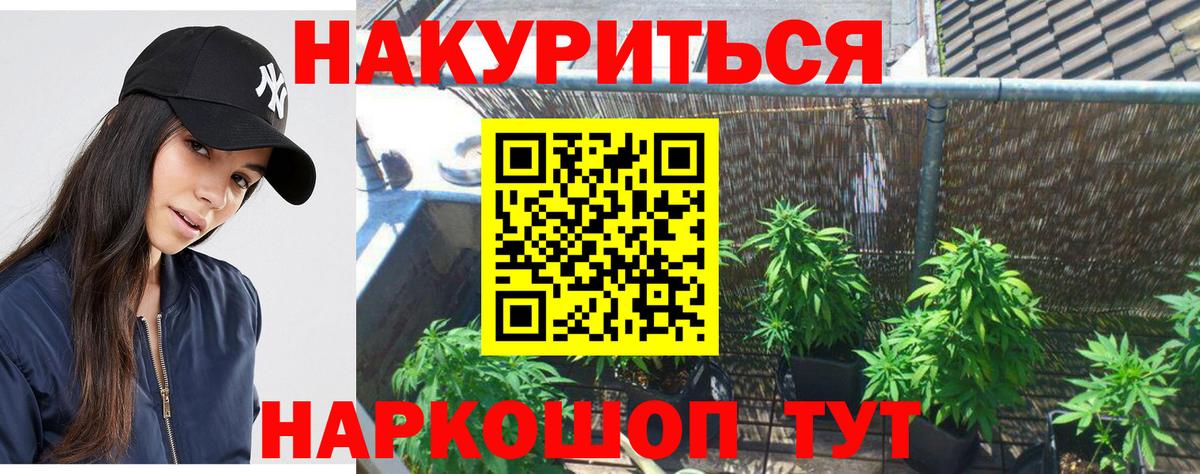 МАРИХУАНА AK-47  Вход с VPN  Семилуки  Каннабис семена  Шишки марихуана AK-47  МАРИХУАНА гибрид 